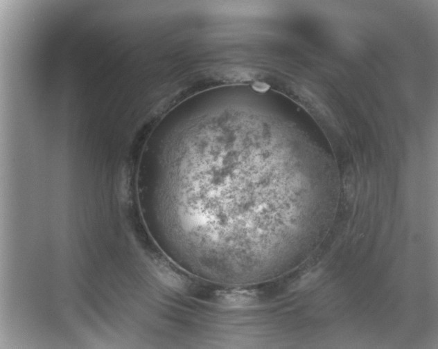 X0000068850359200605121415