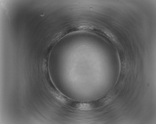 X0000068850361200605121415