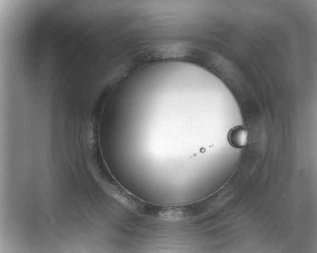 X0000068850362200605121415