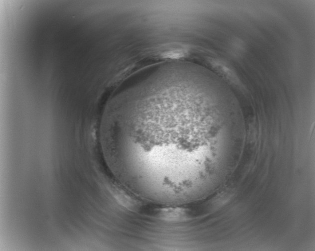 X0000068850363200605121415