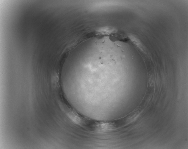 X0000068850365200605121415