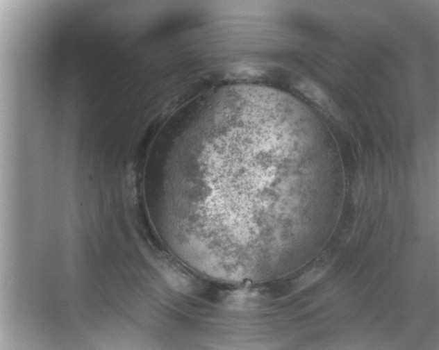 X0000068850366200605121415