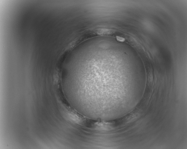 X0000068850367200605121415