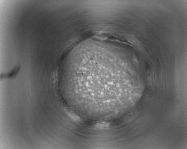 X0000068850369200605121415