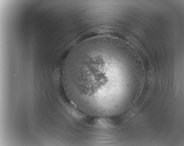 X0000068850372200605121415