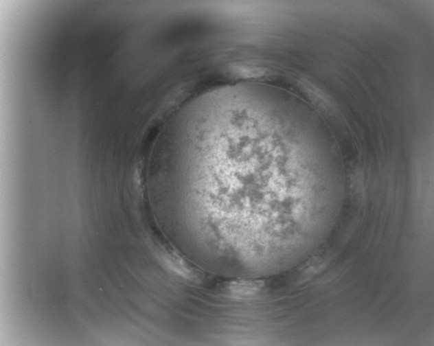 X0000068850373200605121415