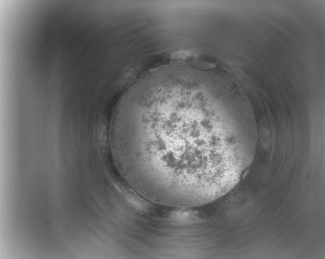 X0000068850375200605121415