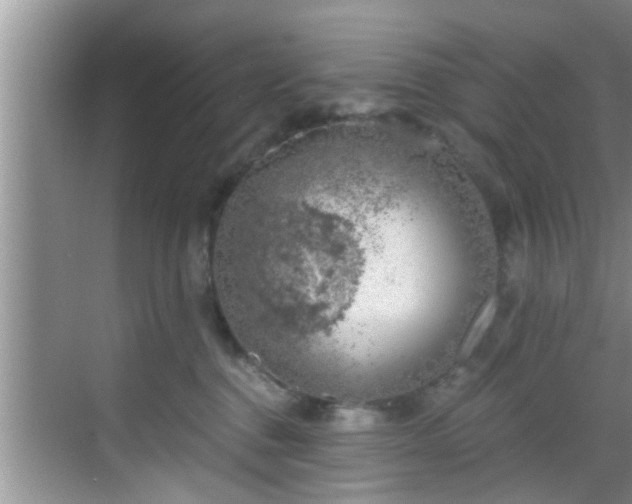 X0000068850376200605121415