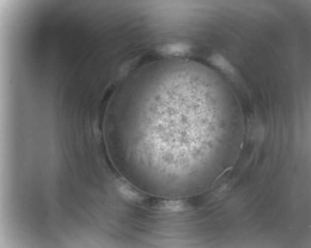 X0000068850377200605121415