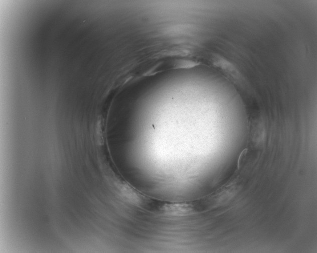 X0000068850378200605121415