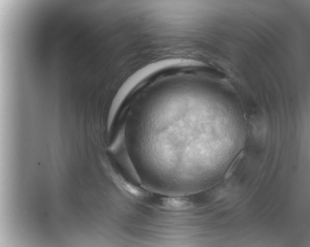 X0000068850380200605121415