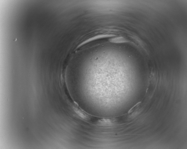 X0000068850381200605121415