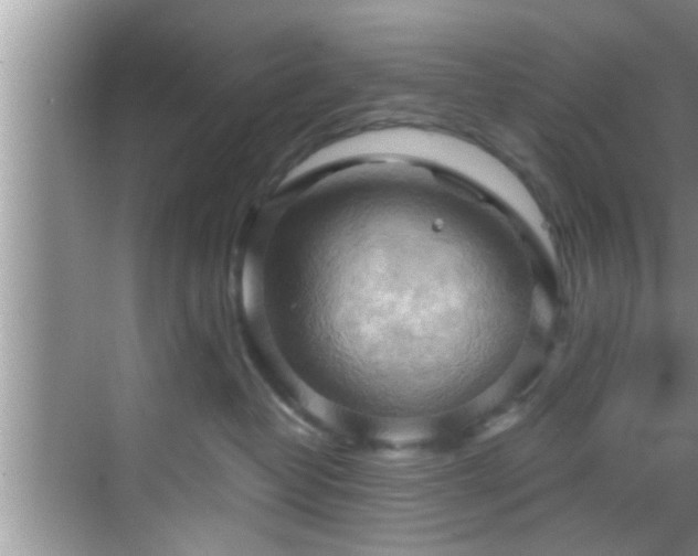 X0000068850382200605121415