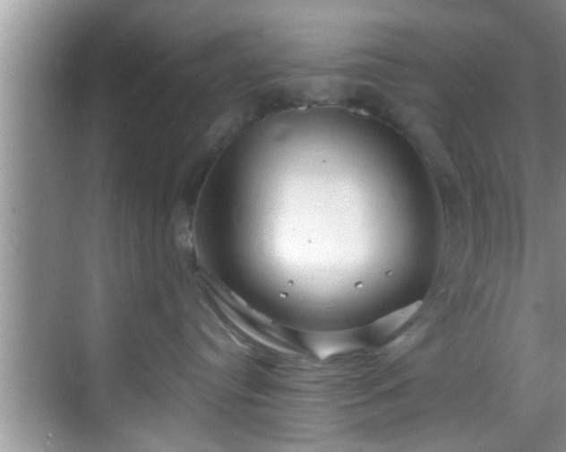 X0000068850384200605121416