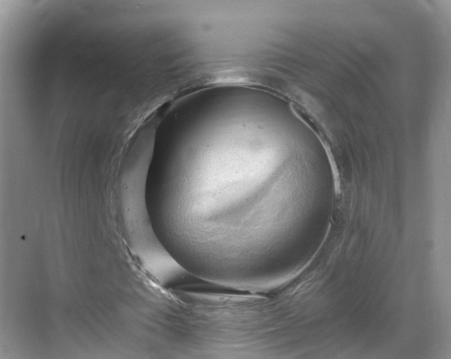 X0000068850385200605121415