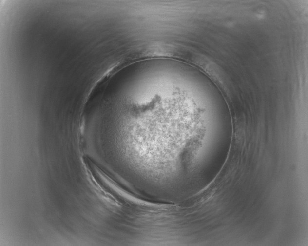 X0000068850386200605121415