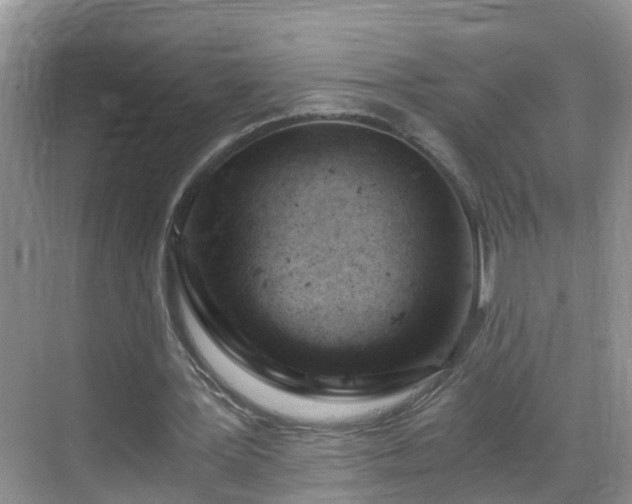 X0000068850387200605121415