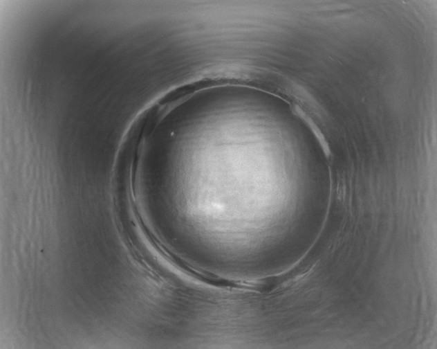 X0000068850388200605121415