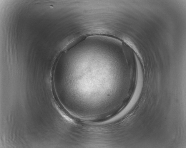 X0000068850389200605121415