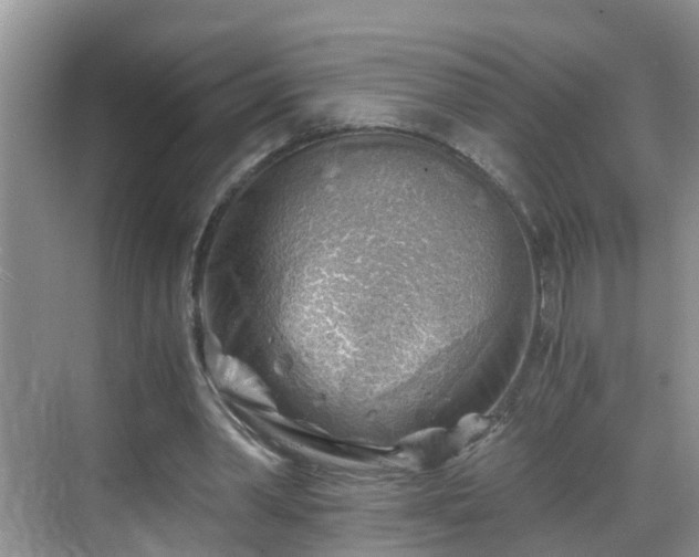 X0000068850390200605121415