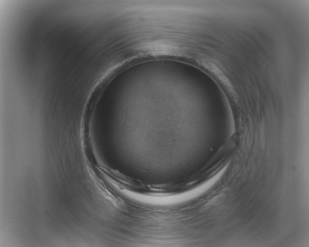 X0000068850391200605121415