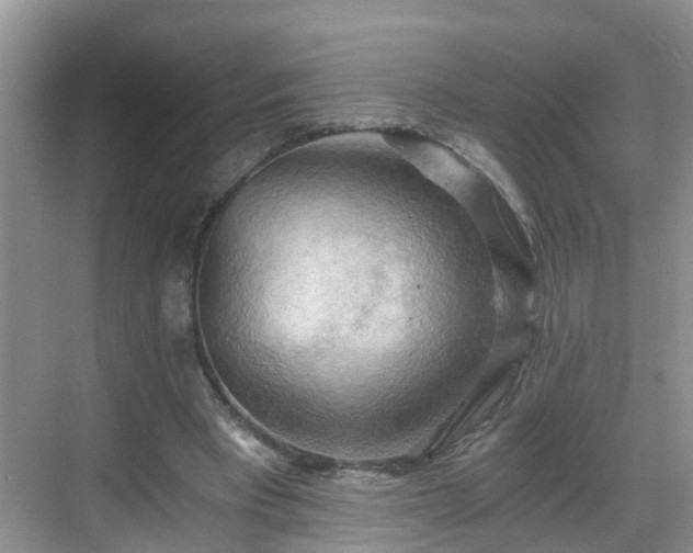 X0000068850393200605121415