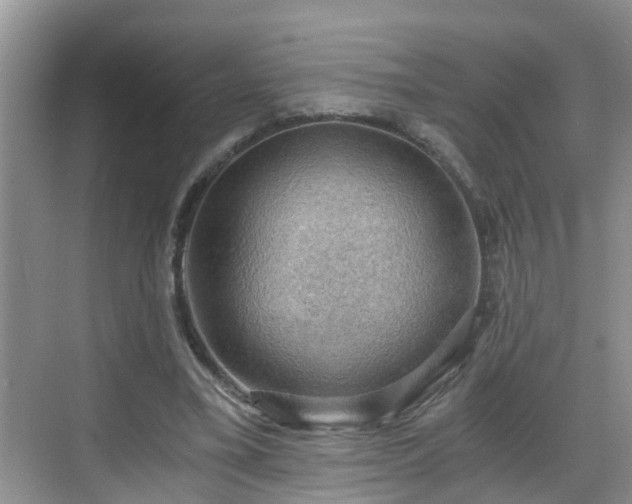 X0000068850395200605121415