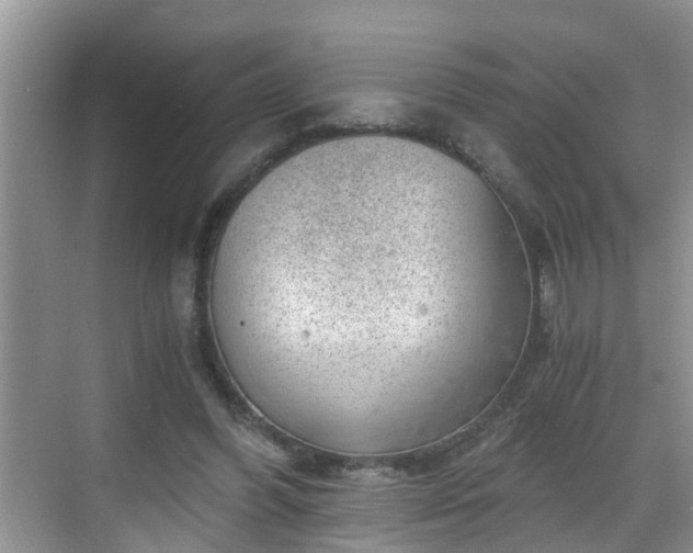 X0000068850396200605121415