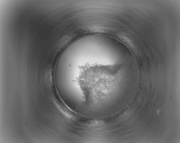 X0000068850398200605121414