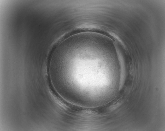 X0000068850399200605121414