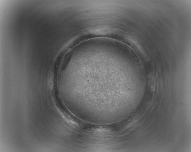 X0000068850400200605121414