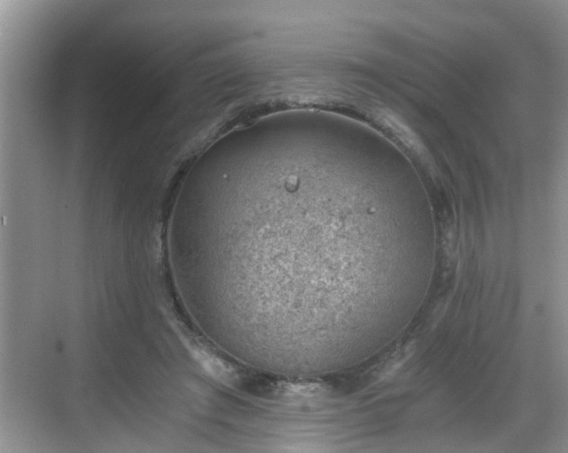 X0000068850401200605121414