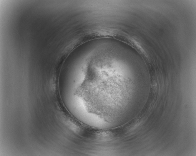 X0000068850402200605121414