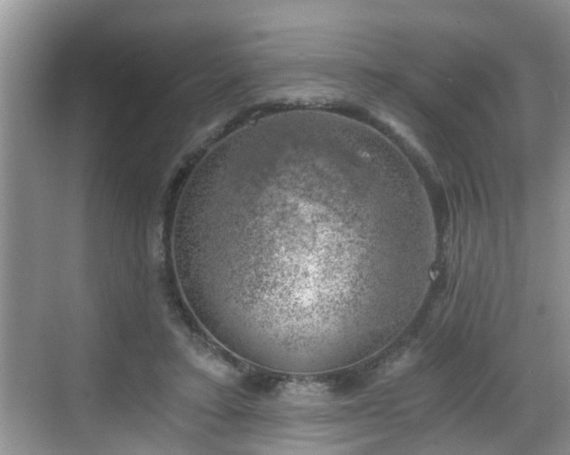 X0000068850403200605121414