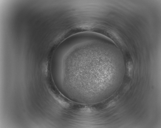 X0000068850404200605121414