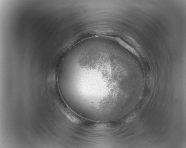 X0000068850405200605121414