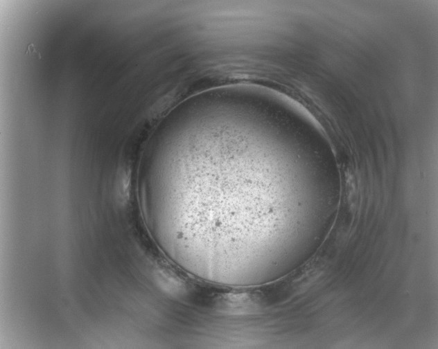 X0000068850406200605121414