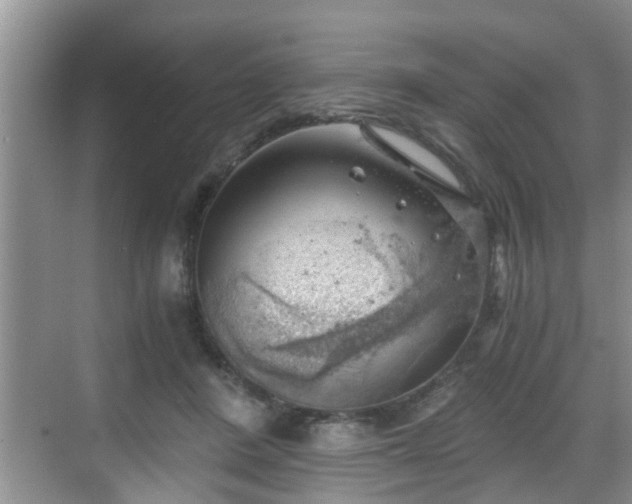 X0000068850408200605121414