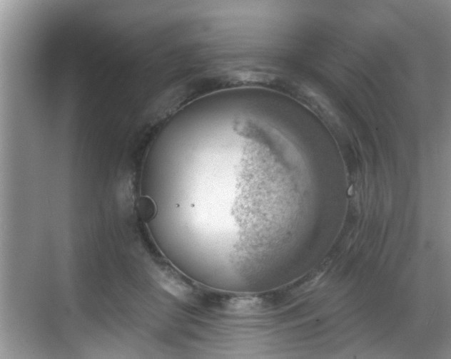 X0000068850410200605121414