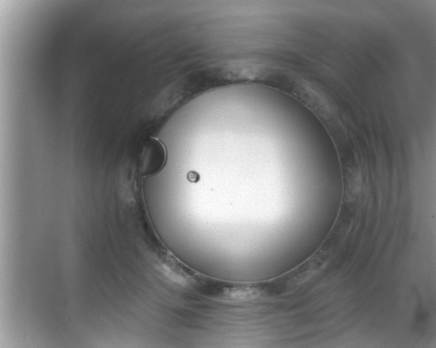 X0000068850414200605121414