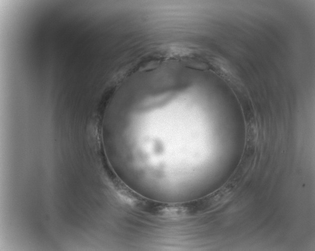 X0000068850415200605121414