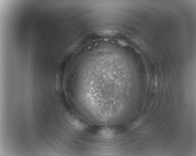 X0000068850416200605121414