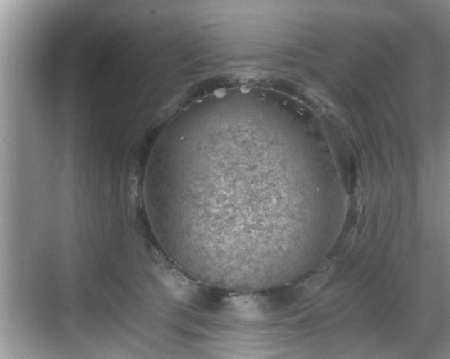 X0000068850417200605121414