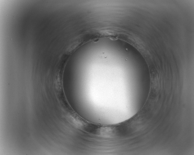 X0000068850418200605121414