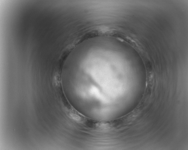 X0000068850419200605121414