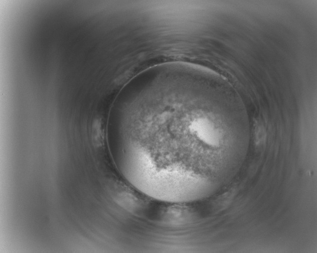 X0000068850420200605121414