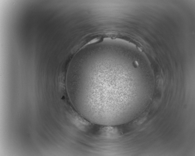 X0000068850421200605121414