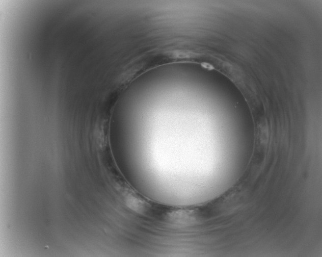 X0000068850422200605121414