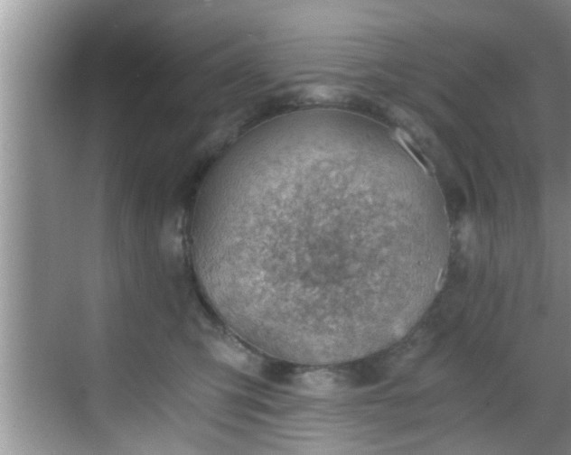 X0000068850423200605121414