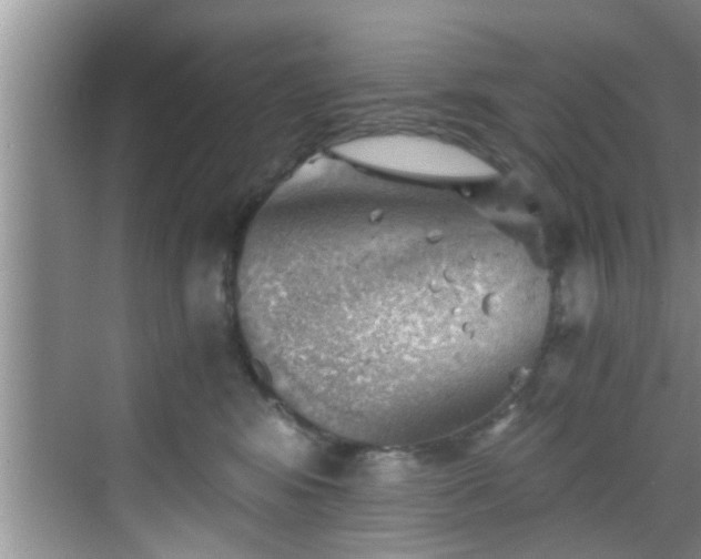 X0000068850424200605121414